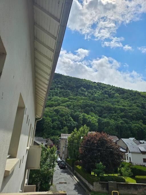 Chez Louise, Appartement T3 A Deux Pas Du Centre Bagnères-de-Luchon Екстериор снимка