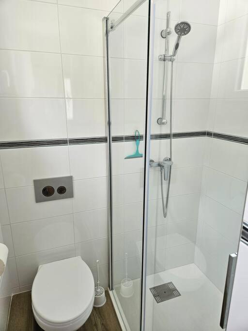 Chez Louise, Appartement T3 A Deux Pas Du Centre Bagnères-de-Luchon Екстериор снимка